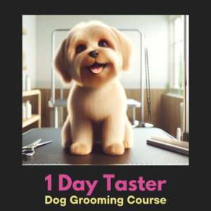 One Day Taster Course