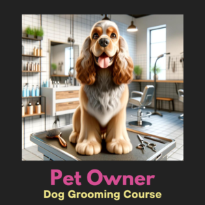 Pet Owner Two days course