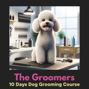 The Groomers (10 day course)